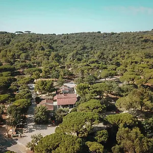 Camping Ladouceur Camping